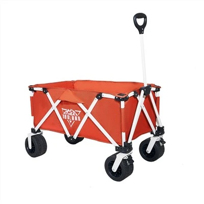 Carrito de playa todo en uno